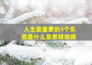 人生最重要的5个东西是什么意思呀视频