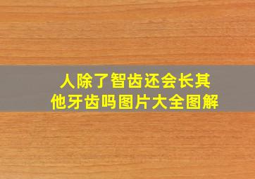 人除了智齿还会长其他牙齿吗图片大全图解