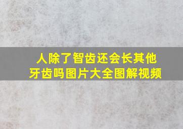 人除了智齿还会长其他牙齿吗图片大全图解视频