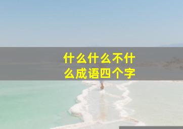 什么什么不什么成语四个字