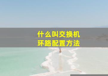 什么叫交换机环路配置方法