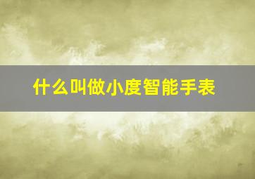 什么叫做小度智能手表