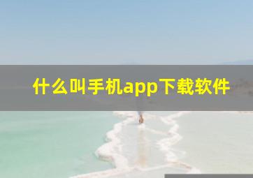 什么叫手机app下载软件