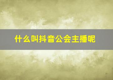 什么叫抖音公会主播呢