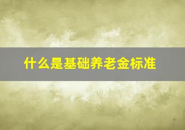 什么是基础养老金标准