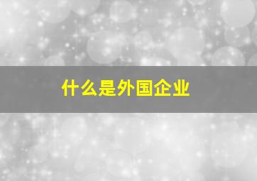 什么是外国企业