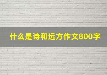 什么是诗和远方作文800字