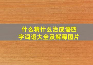 什么精什么治成语四字词语大全及解释图片