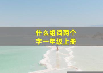 什么组词两个字一年级上册