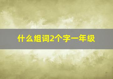 什么组词2个字一年级