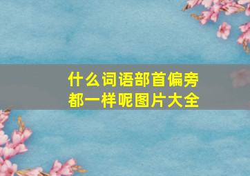 什么词语部首偏旁都一样呢图片大全