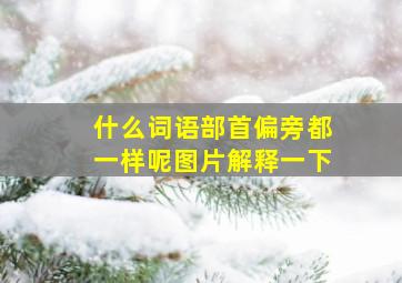 什么词语部首偏旁都一样呢图片解释一下