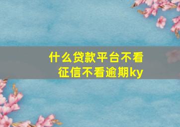 什么贷款平台不看征信不看逾期ky