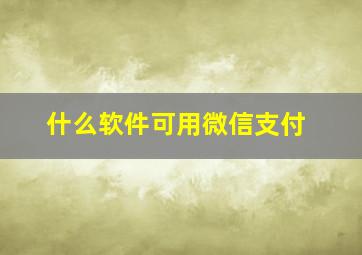 什么软件可用微信支付