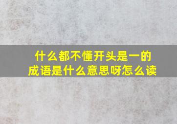 什么都不懂开头是一的成语是什么意思呀怎么读