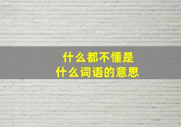 什么都不懂是什么词语的意思