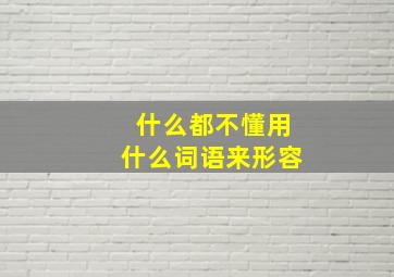 什么都不懂用什么词语来形容