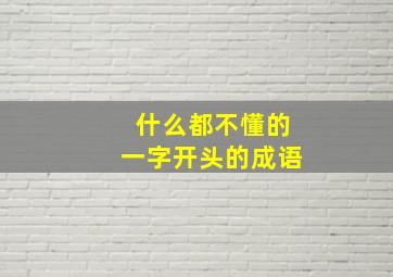 什么都不懂的一字开头的成语