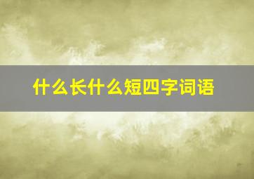 什么长什么短四字词语