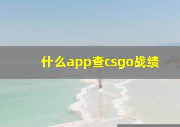 什么app查csgo战绩