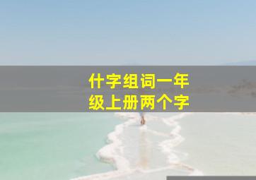 什字组词一年级上册两个字