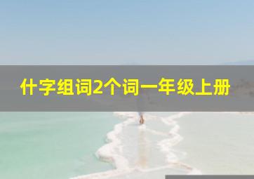 什字组词2个词一年级上册