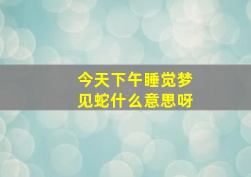 今天下午睡觉梦见蛇什么意思呀