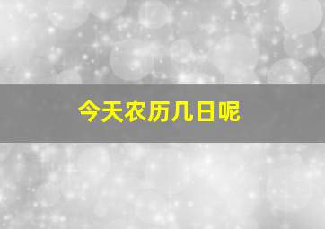 今天农历几日呢