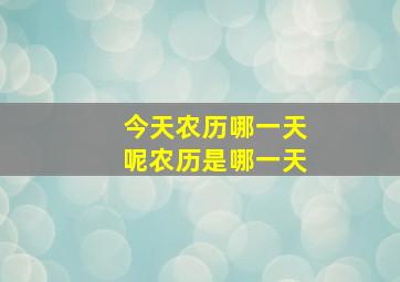 今天农历哪一天呢农历是哪一天