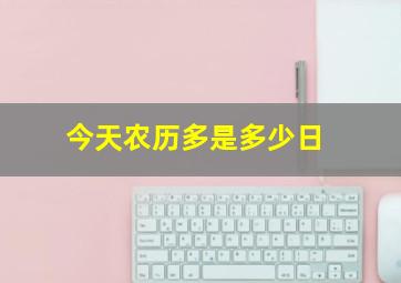 今天农历多是多少日