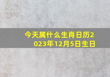 今天属什么生肖日历2023年12月5日生日