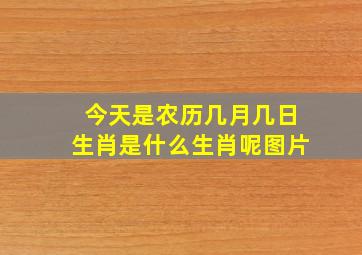 今天是农历几月几日生肖是什么生肖呢图片