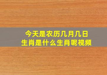 今天是农历几月几日生肖是什么生肖呢视频