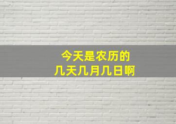 今天是农历的几天几月几日啊