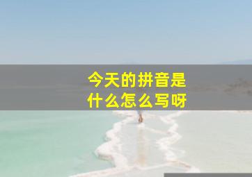 今天的拼音是什么怎么写呀