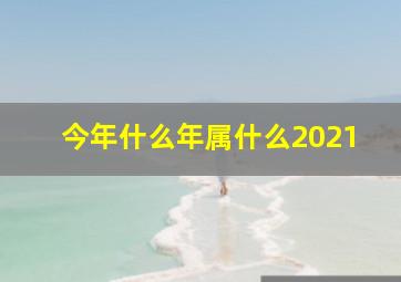 今年什么年属什么2021