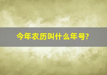 今年农历叫什么年号?