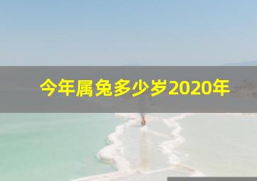 今年属兔多少岁2020年