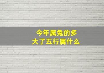 今年属兔的多大了五行属什么