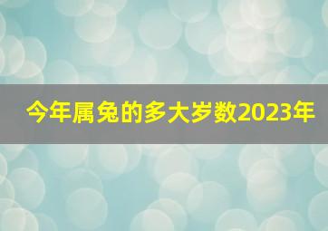 今年属兔的多大岁数2023年