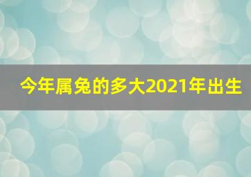 今年属兔的多大2021年出生