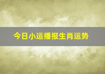 今日小运播报生肖运势