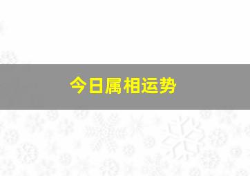 今日属相运势