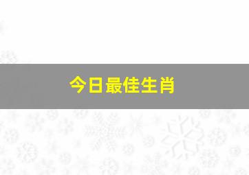 今日最佳生肖