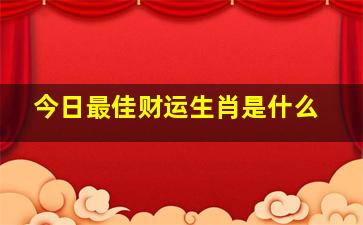 今日最佳财运生肖是什么