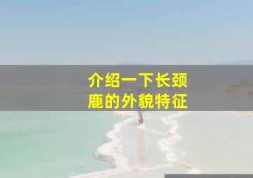 介绍一下长颈鹿的外貌特征