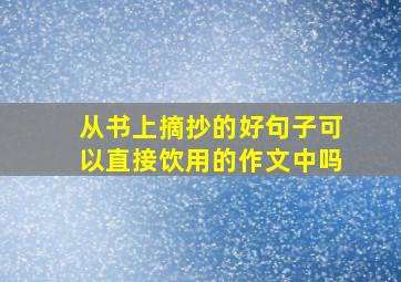 从书上摘抄的好句子可以直接饮用的作文中吗