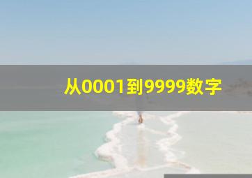 从0001到9999数字