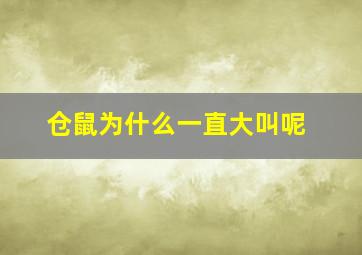 仓鼠为什么一直大叫呢