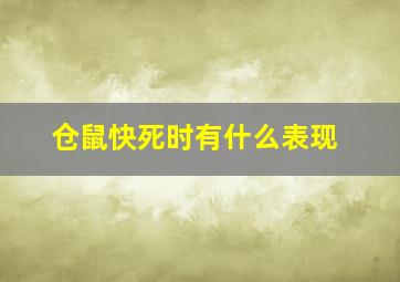 仓鼠快死时有什么表现